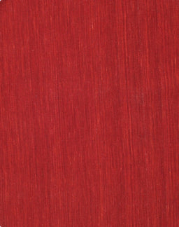 Contemporary Red Modern Rug, con223