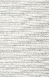 Machine Washable Contemporary Pale Silver Gray Rug, wshcon2249
