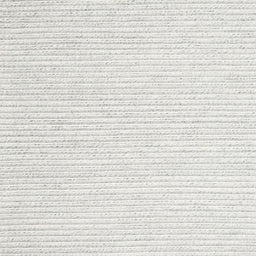 Sideview of Machine Washable Contemporary Pale Silver Gray Rug, wshcon2249