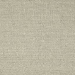 Square Contemporary Tan Brown Solid Rug, con225