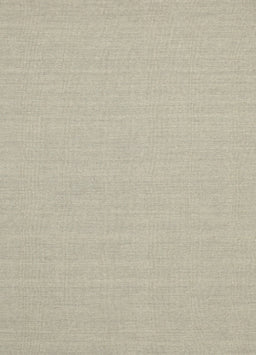 Contemporary Tan Brown Solid Rug, con225