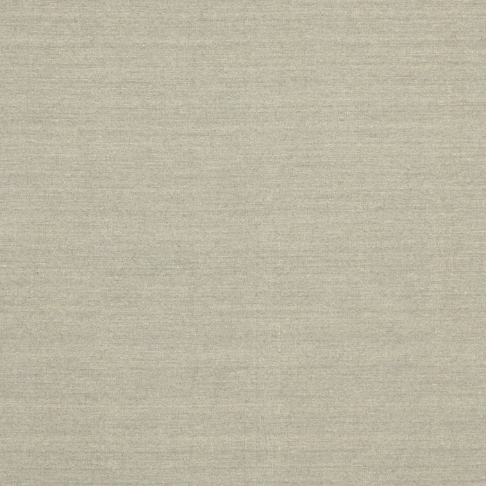 Contemporary Tan Brown Solid Rug, con225