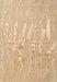 Machine Washable Contemporary Sand Brown Rug, wshcon2265