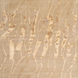 Square Contemporary Sand Brown Solid Rug, con2265