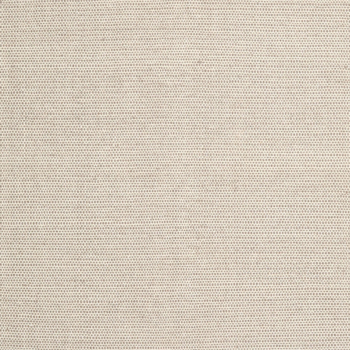 Machine Washable Contemporary Light French Beige Brown Rug, wshcon2267