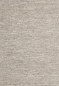 Machine Washable Contemporary Desert Sand Beige Rug, wshcon2269