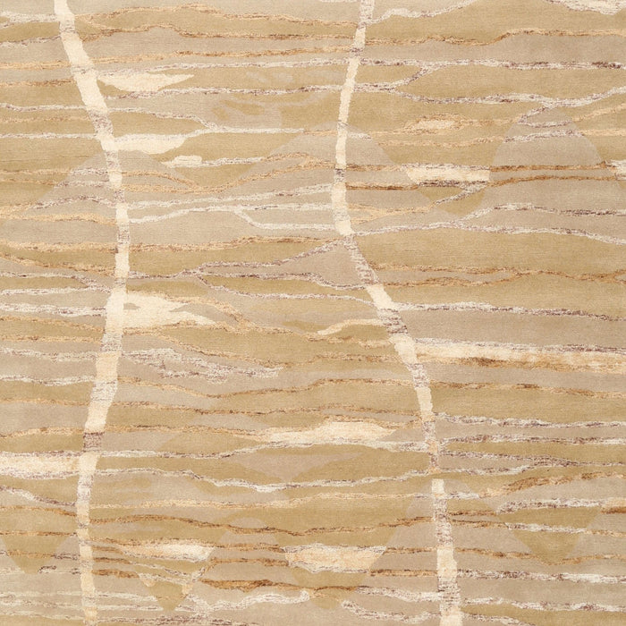 Contemporary Sand Brown Modern Rug, con2270