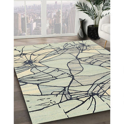 Contemporary Sage Green Modern Rug in Family Room, con2273