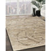 Contemporary Dark Almond Brown Modern Rug in Family Room, con2281