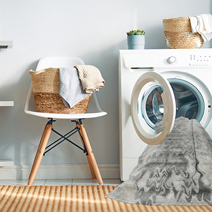 Machine Washable Contemporary Dark Gray Rug in a Washing Machine, wshcon2284