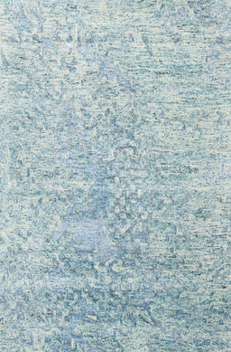 Contemporary Koi Blue Modern Rug, con2288
