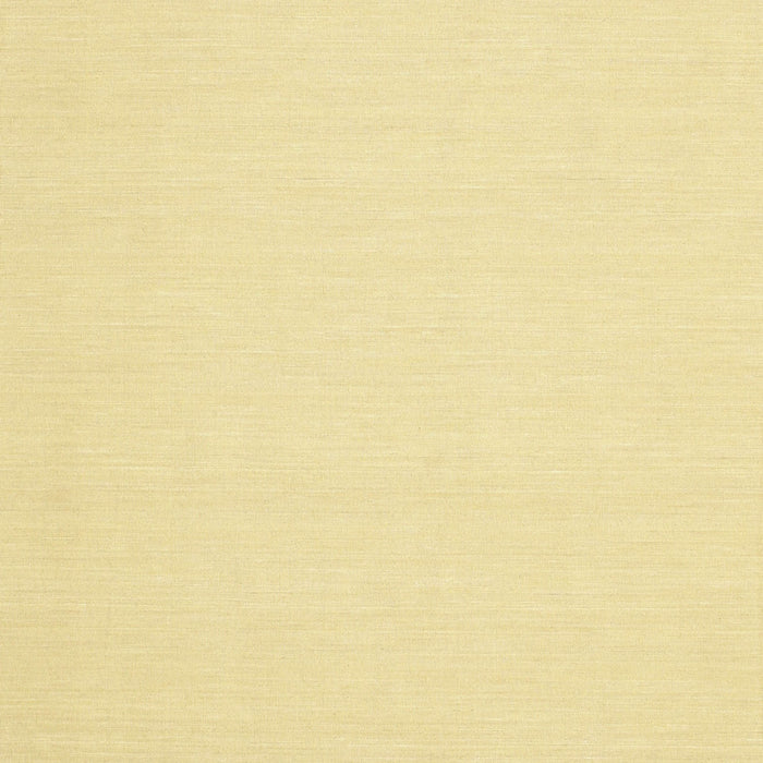 Contemporary Mustard Yellow Modern Rug, con228