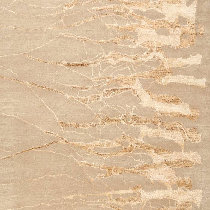 Contemporary Sandy Brown Modern Rug, con2296