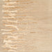 Sideview of Machine Washable Contemporary Sandy Brown Rug, wshcon2296