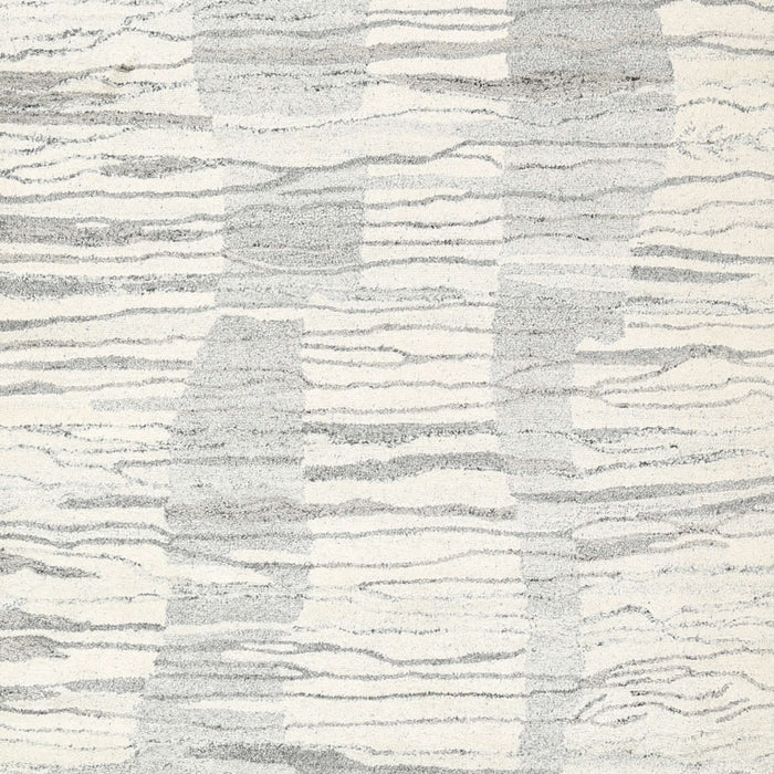 Contemporary Soft Ivory Beige Solid Rug, con2298