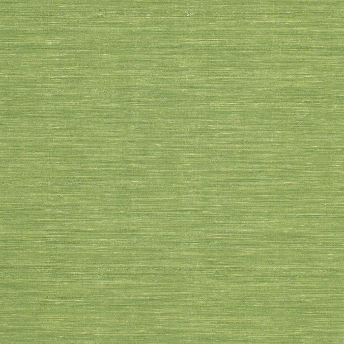 Contemporary Pistachio Green Modern Rug, con229