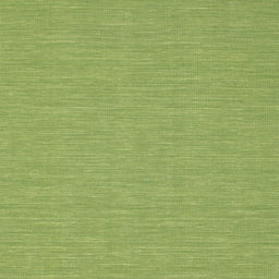Sideview of Machine Washable Contemporary Pistachio Green Rug, wshcon229