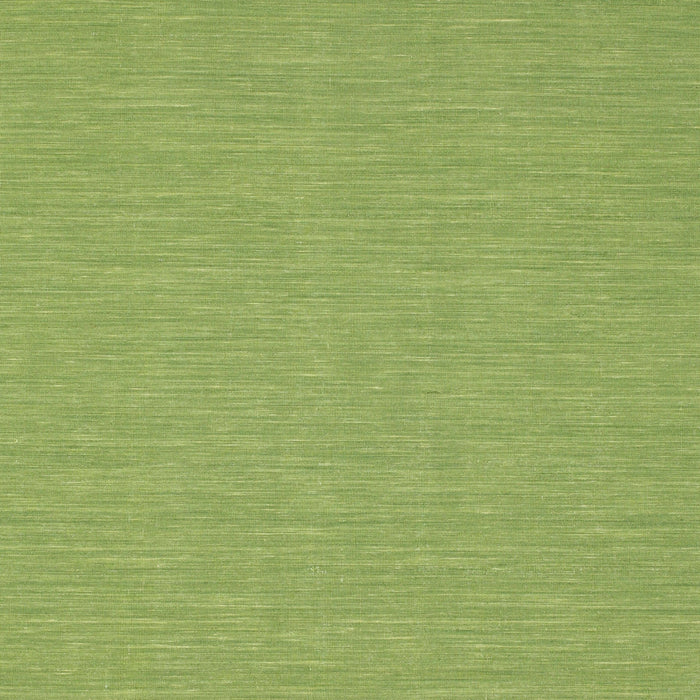 Square Contemporary Pistachio Green Modern Rug, con229