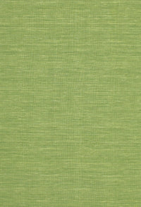 Machine Washable Contemporary Pistachio Green Rug, wshcon229