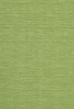 Machine Washable Contemporary Pistachio Green Rug, wshcon229