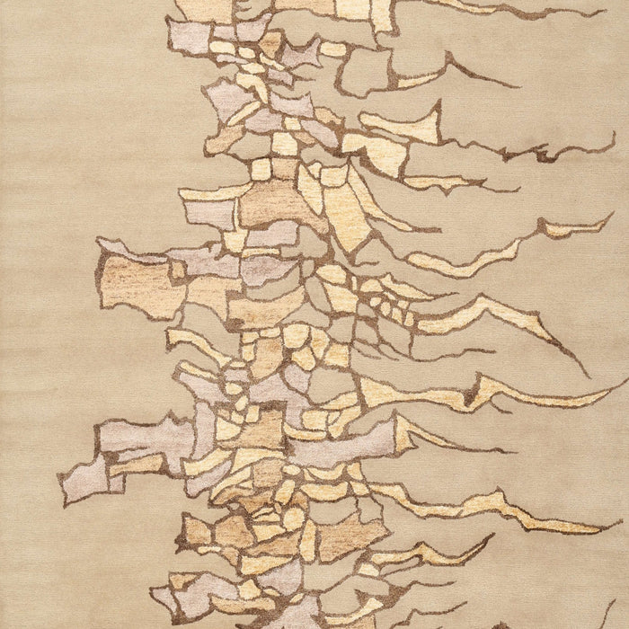 Contemporary Sand Brown Modern Rug, con2301