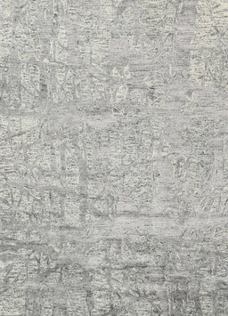 Contemporary Gray Modern Rug, con2323
