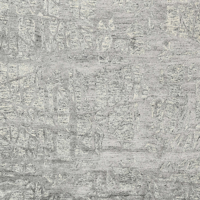 Contemporary Gray Modern Rug, con2323