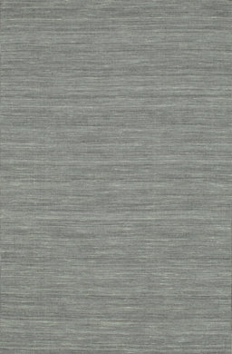 Contemporary Silver Gray Modern Rug, con235