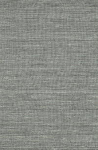 Machine Washable Contemporary Silver Gray Rug, wshcon235