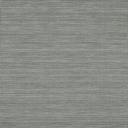 Square Contemporary Silver Gray Modern Rug, con235
