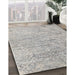 Machine Washable Contemporary Pale Silver Gray Rug in a Family Room, wshcon2361