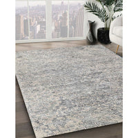 Contemporary Pale Silver Gray Modern Rug, con2361