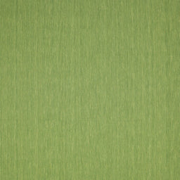 Sideview of Machine Washable Contemporary Green Rug, wshcon236