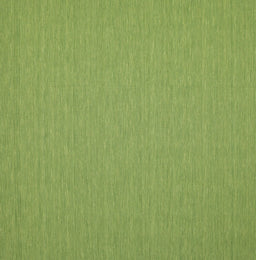 Machine Washable Contemporary Green Rug, wshcon236