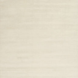 Sideview of Machine Washable Contemporary Light Gold Rug, wshcon2373