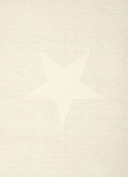 Contemporary Blanched Almond Beige Solid Rug, con2381