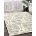 Contemporary Champagne Beige Modern Rug in Family Room, con2384