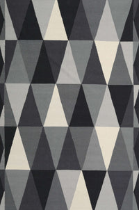 Machine Washable Contemporary Dark Gray Rug, wshcon2385