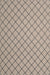 Contemporary Tan Brown Modern Rug, con2387