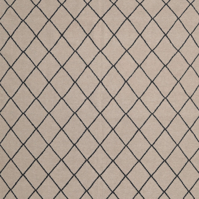 Contemporary Tan Brown Modern Rug, con2387