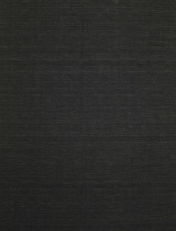 Machine Washable Contemporary Charcoal Black Rug, wshcon238