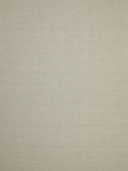 Contemporary Sage Green Solid Rug, con239