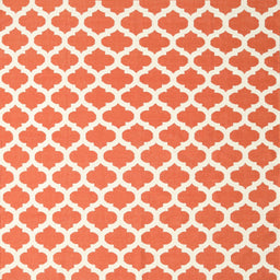 Sideview of Machine Washable Contemporary Deep Peach Orange Rug, wshcon2405