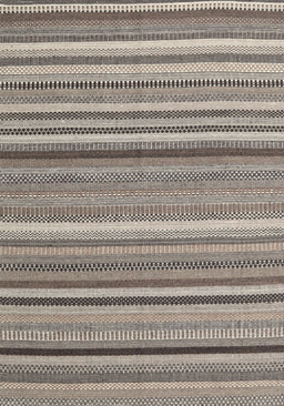 Contemporary Tan Brown Modern Rug, con2411