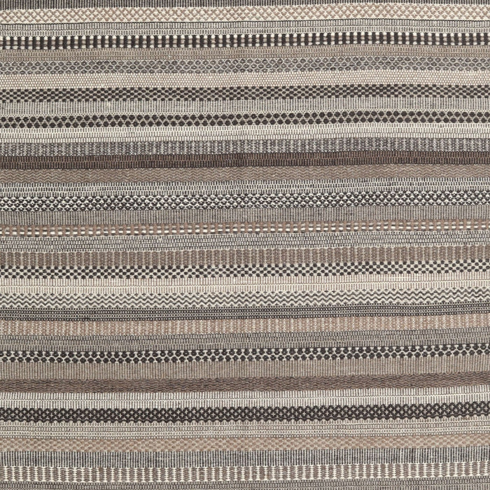 Contemporary Tan Brown Modern Rug, con2411
