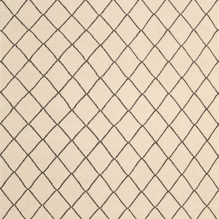 Contemporary Navajo White Gold Solid Rug, con2415