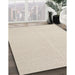 Machine Washable Contemporary Light French Beige Brown Rug in a Family Room, wshcon2419