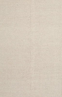 Contemporary Light French Beige Brown Solid Rug, con2419