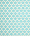 Contemporary Sky Blue Trellis Rug, con2437