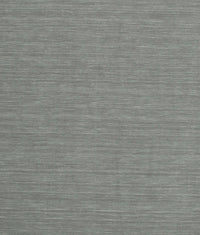 Machine Washable Contemporary Gunmetal Gray Rug, wshcon244